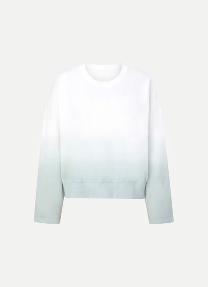 Casual Fit Sweatshirts Sweatshirt misty green