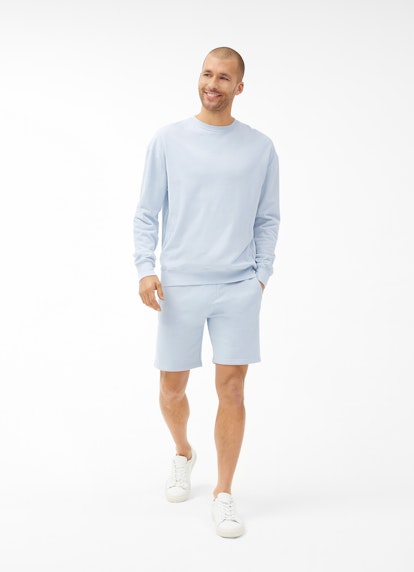 Regular Fit Sweaters Sweatshirt sky