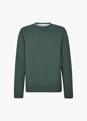 Regular Fit Sweatshirts Sweatshirt deep green