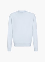 Regular Fit Pullover Sweatshirt sky