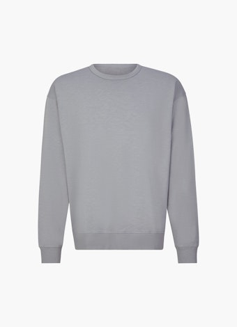 Regular Fit Pull-over Sweater ash grey
