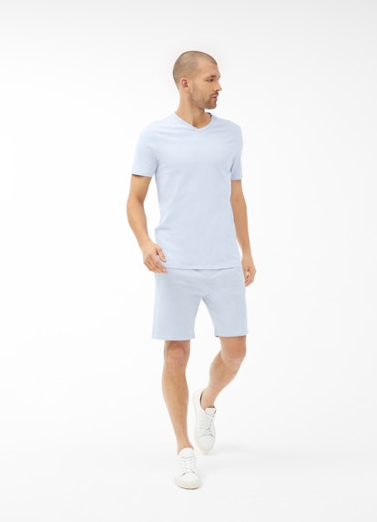 Regular Fit T-Shirts T-Shirt sky