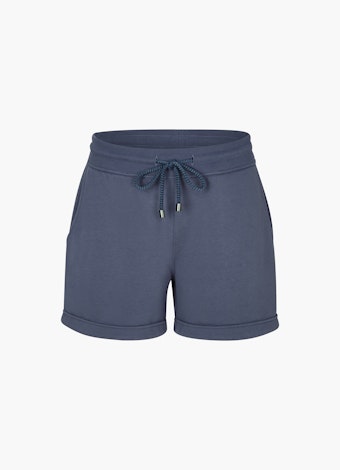 Regular Fit Shorts Shorts midnight blue