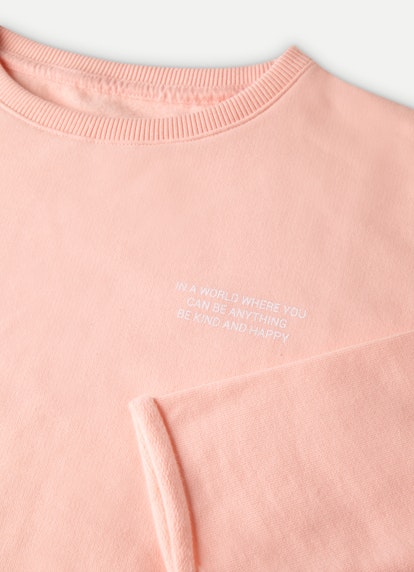 Regular Fit Sweatshirts Sweatshirt salmon