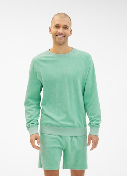Coupe Regular Fit Pull-over Sweat-shirt en tissu éponge frosty green