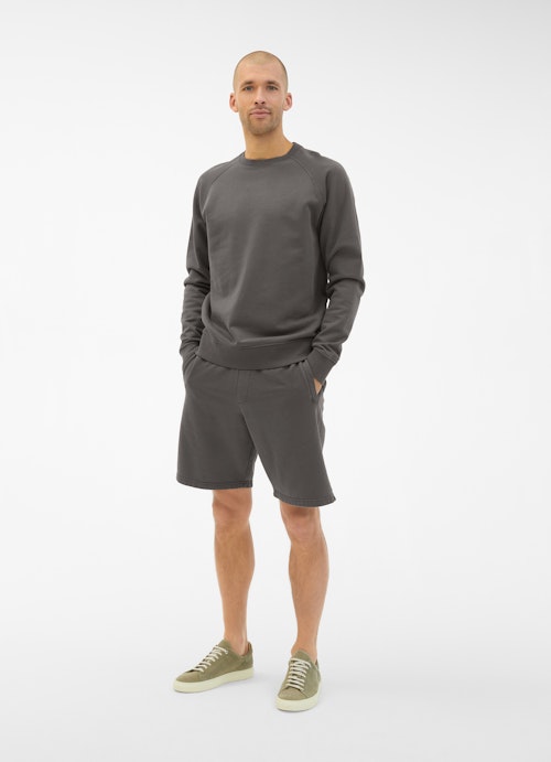 Regular Fit Sweatshirts Sweatshirt mink