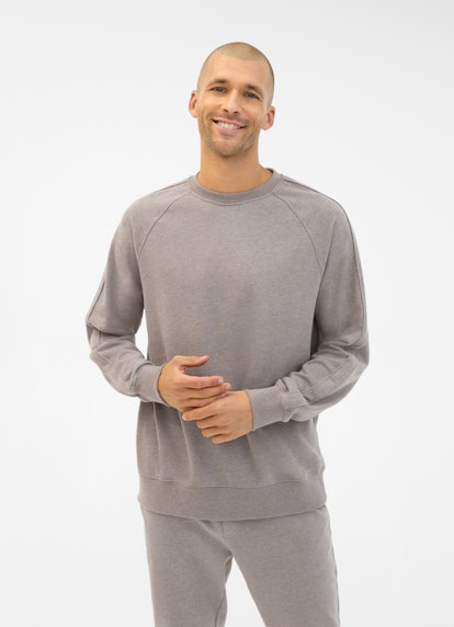 Coupe Regular Fit Pull-over Sweat-shirt taupe mel.