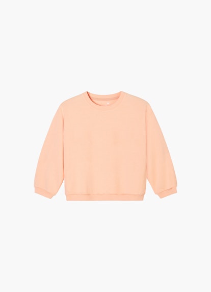 Regular Fit Sweatshirts Sweatshirt peach