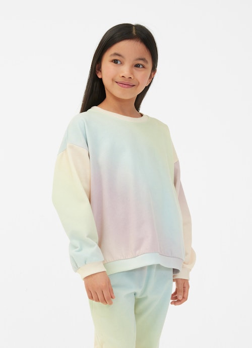 Regular Fit Sweatshirts Sweatshirt multicolor