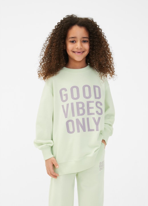 Regular Fit Sweatshirts Sweatshirt pistachio