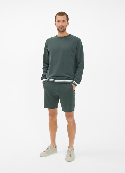 Regular Fit Sweaters Sweatshirt sage leaf