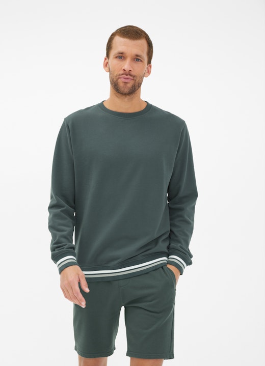 Regular Fit Sweater Sweatshirt sage leaf