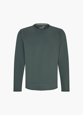 Regular Fit Sweater Sweatshirt sage leaf