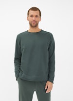 Regular Fit Sweaters Sweatshirt sage leaf