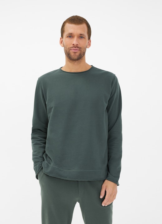 Regular Fit Sweater Sweatshirt sage leaf