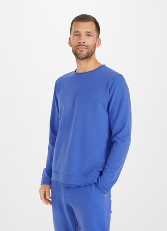 Regular Fit Sweatshirts Sweatshirt french blue