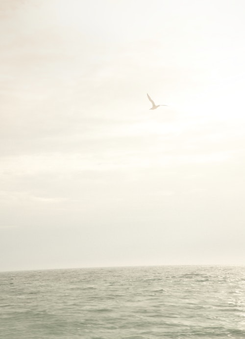 Accessoires EASY for her - Shower Gel easy