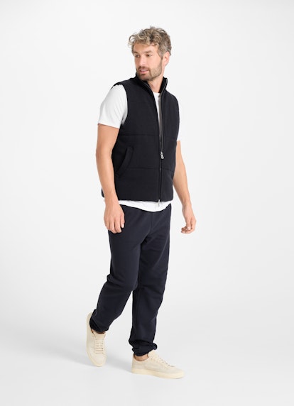 Coupe Regular Fit Vestes Gilet navy