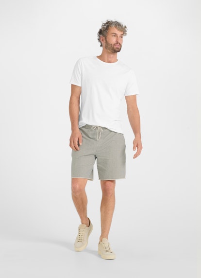 Regular Fit Shorts Shorts thunder