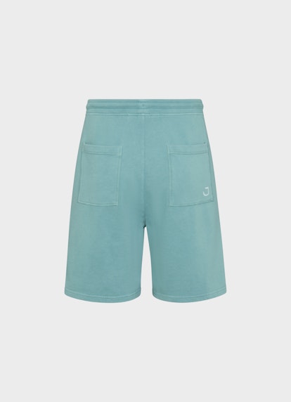 Regular Fit Shorts Shorts slate green