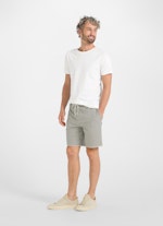 Regular Fit Shorts Shorts thunder