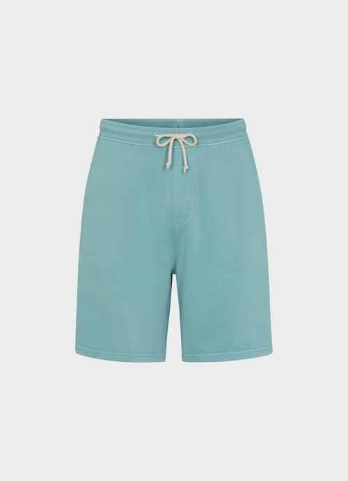 Regular Fit Shorts Shorts slate green