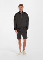 Regular Fit Shorts Shorts charcoal