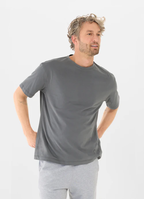 Regular Fit T-Shirts T-Shirt smoke grey
