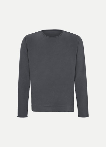 Regular Fit Sweatshirts Sweatshirt phantom