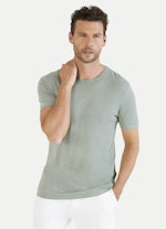 Regular Fit T-Shirts T-Shirt fog green