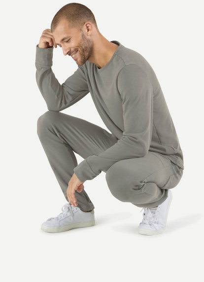 Regular Fit Sweatshirts Sweatshirt agave green