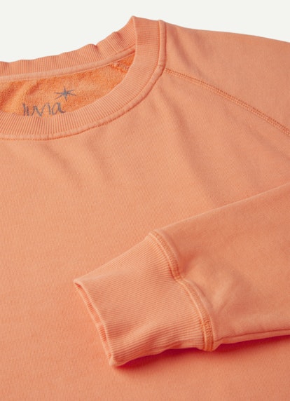 Regular Fit Sweatshirts Sweatshirt soft orange