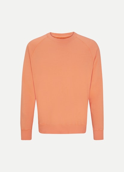 Regular Fit Sweatshirts Sweatshirt soft orange