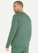 Regular Fit Sweatshirts Sweatshirt antique green