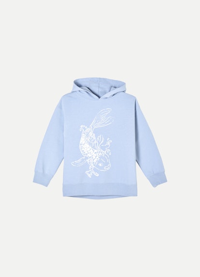 Regular Fit Hoodies Hoodie denim